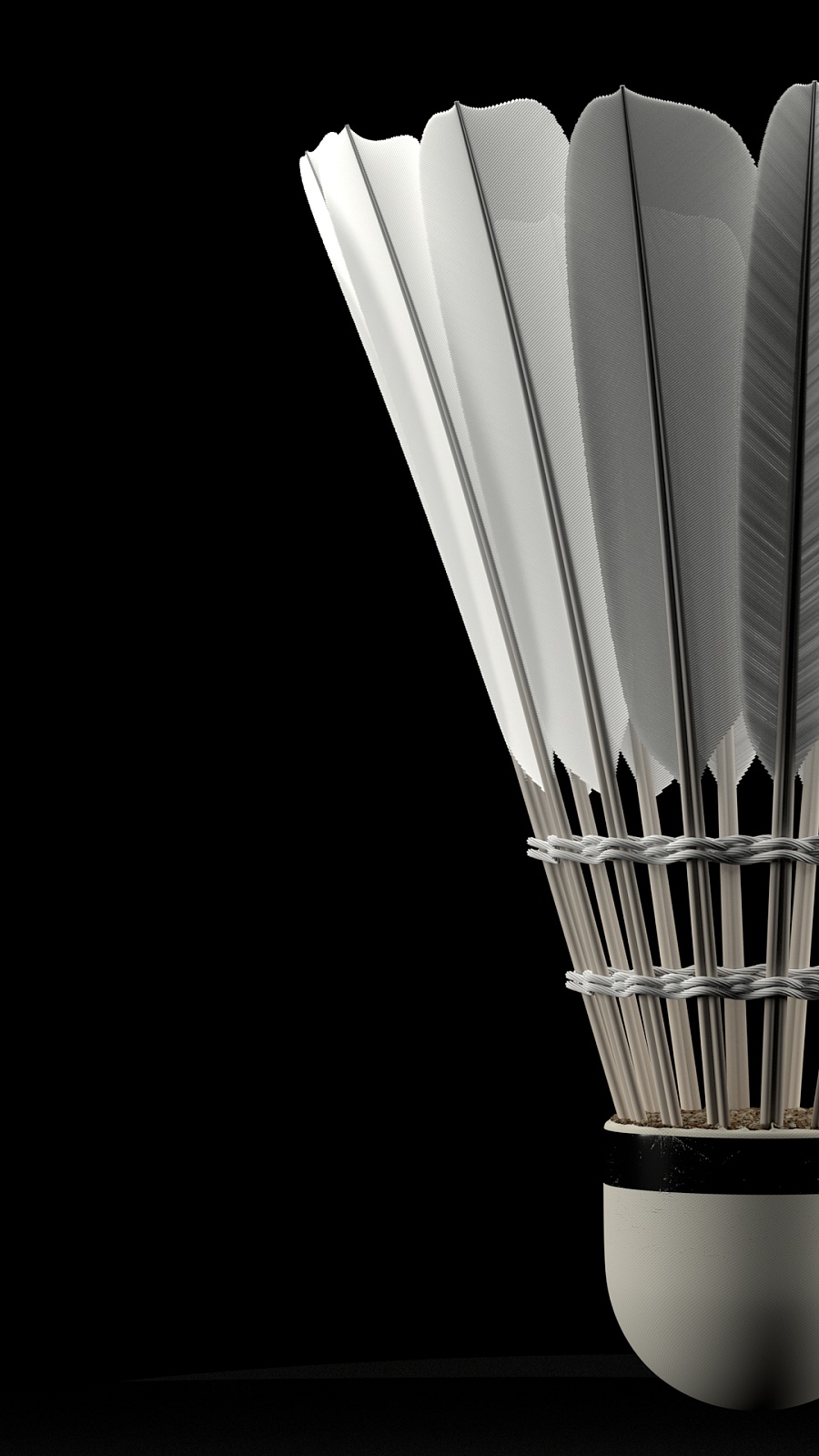 是决定职业 是决定职业